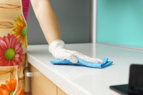 Kitchen area showing deep cleaning tasks on appliances and counters