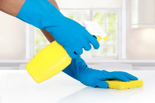 Regular cleaning in a tidy modern interior