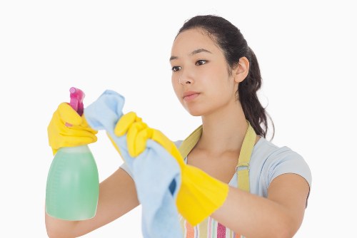 Deep domestic cleaning of high-touch areas in a home