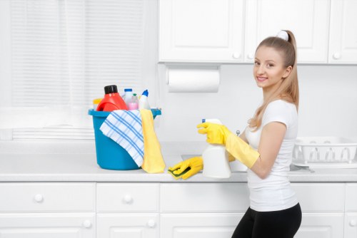 Window cleaning equipment and streak-free glass maintenance