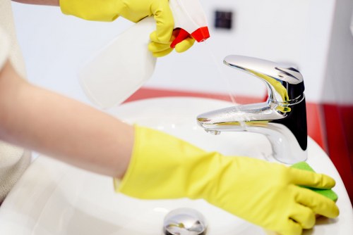 Domestic cleaning service focused on bathroom hygiene and shine