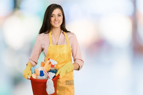 Kitchen surfaces and appliances prepared during move in cleaning