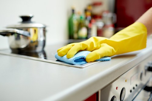 Baking soda and vinegar used for natural oven cleaning