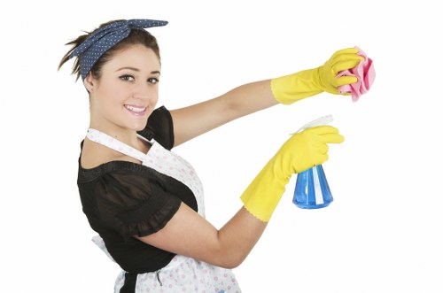 Technician performing deep sofa cleaning on a couch